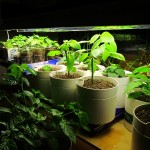 2011-02-27-02